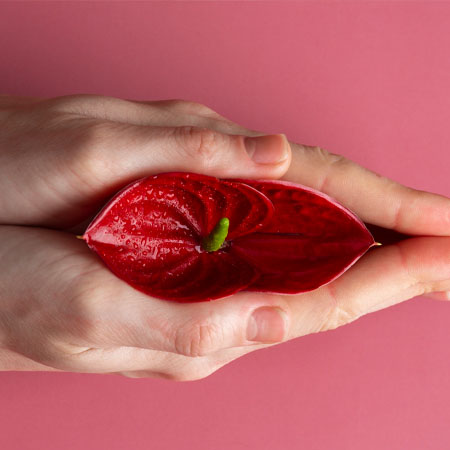 Vulvovaginal Skin Conditions treatment Meerut