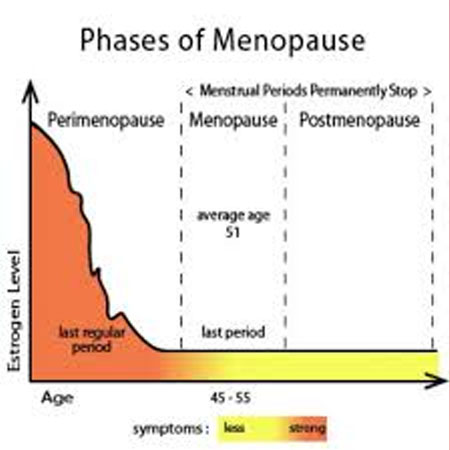 Perimenopausal & Postmenopausal Health Issues Management Meerut